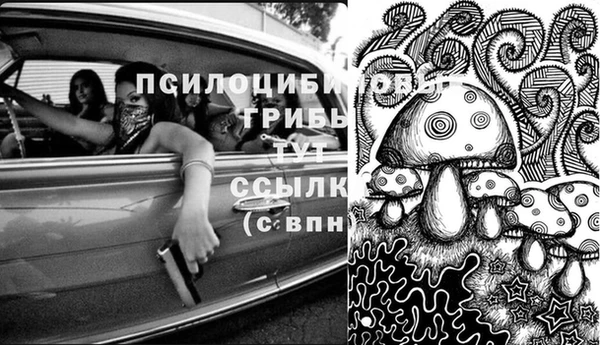 шишки Балахна